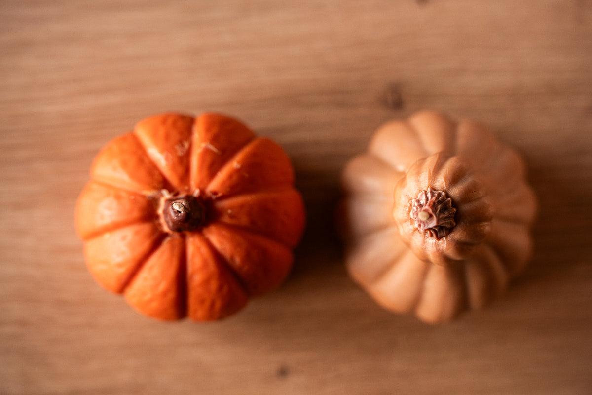 Pumpkin Duo