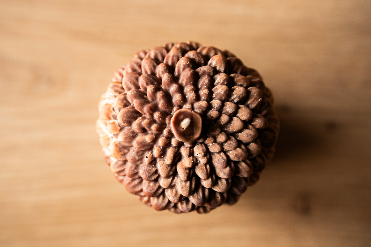 Little Acorn Kerze